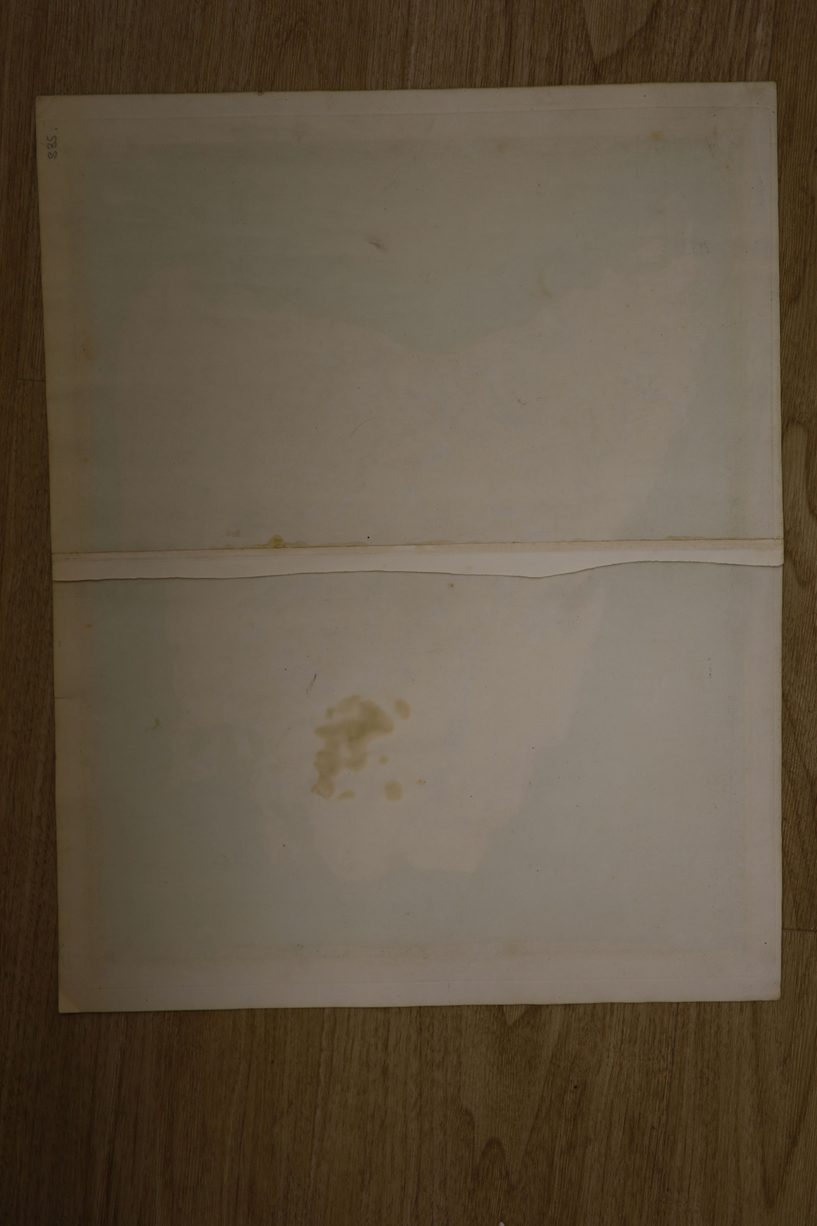 A folio of 19th century maps of Tasmania